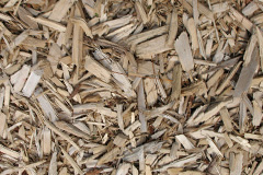 biomass boilers Rangemore